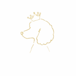 simple logo removebg preview