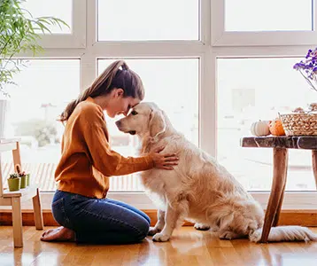 woman sitting with her forehead on her dogs head 358x300 crop
